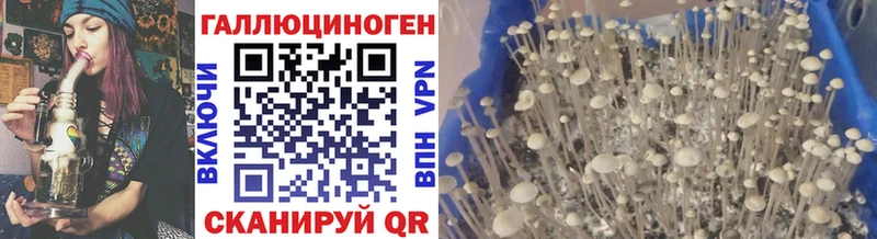 Псилоцибиновые грибы GOLDEN TEACHER  Велиж 